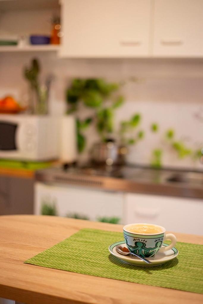 Haus Rose Bed and Breakfast Allensbach Buitenkant foto